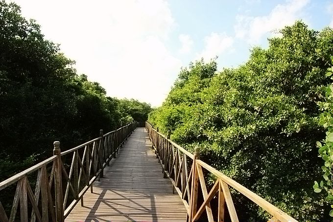 IMG_4527.JPG