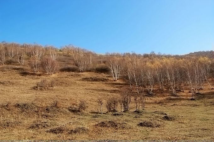 IMG_4020.JPG