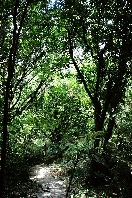IMG_4650.jpg