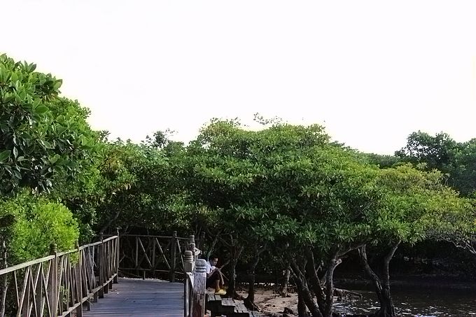 IMG_4546.JPG