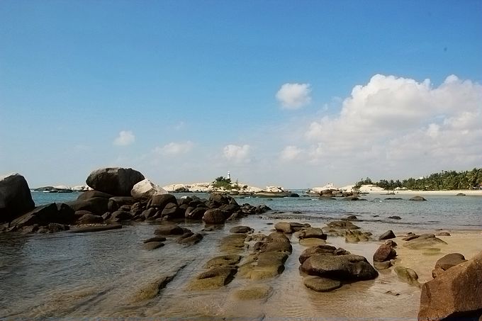 IMG_4587.JPG