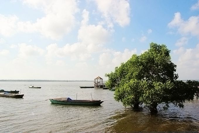 IMG_4534.JPG