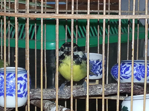20131005_211001_副本.jpg
