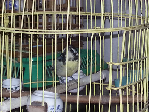 20131005_210625_副本.jpg