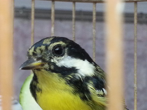 20131003_235230_副本.jpg
