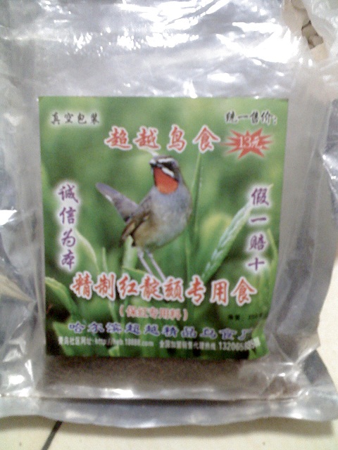 鸟食3.jpg