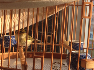 照片 182.jpg