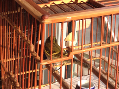 照片 169.jpg