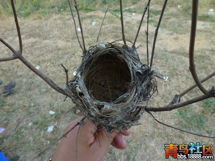 P1020720_调整大小.jpg