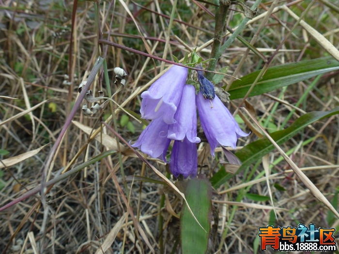 P1020749_调整大小.jpg