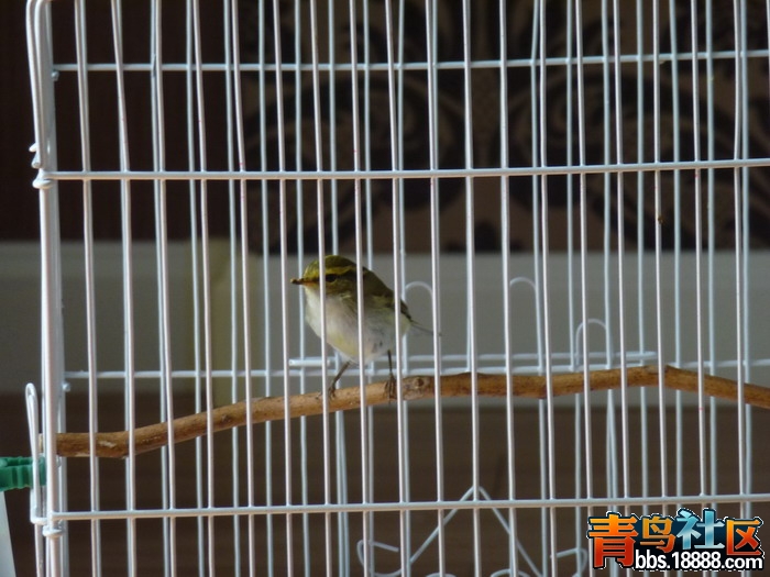 P1020909_调整大小.jpg