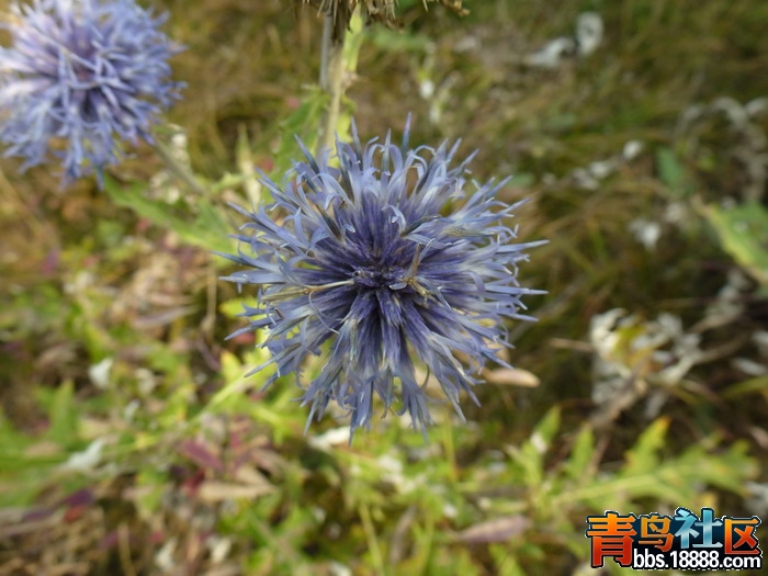 P1020751_调整大小.jpg