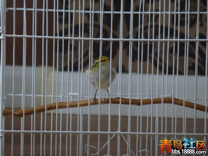 P1020870_调整大小.jpg
