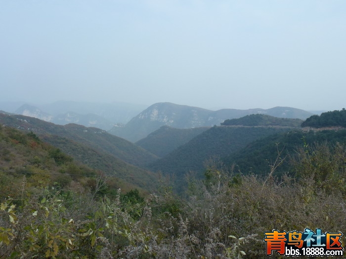 P1020780_调整大小.jpg