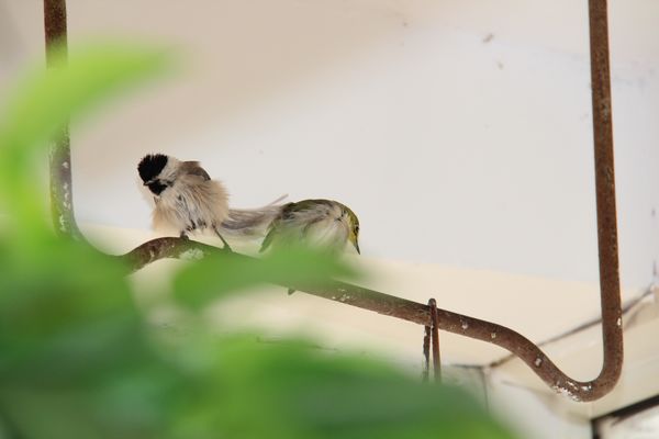 IMG_8669.JPG