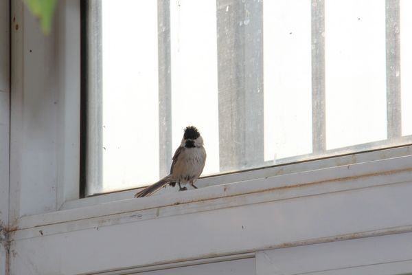 IMG_8672.JPG