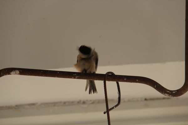 IMG_8686.JPG
