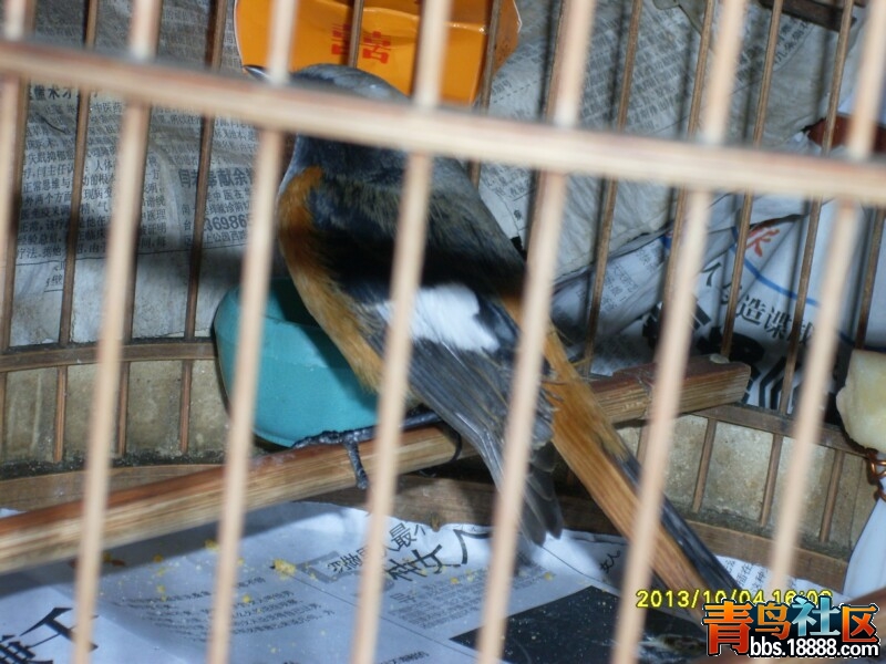 SDC10157.jpg