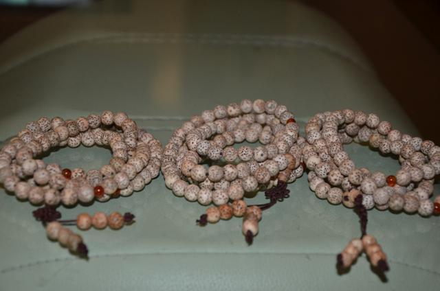 DSC_0070.jpg