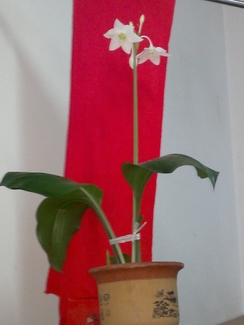 20131125445.jpg