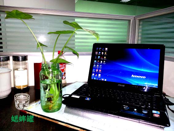 20131119_163554.jpg