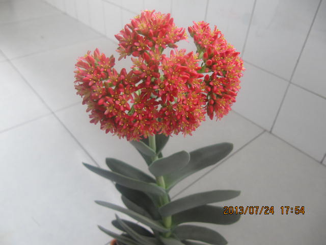 照片 014.jpg