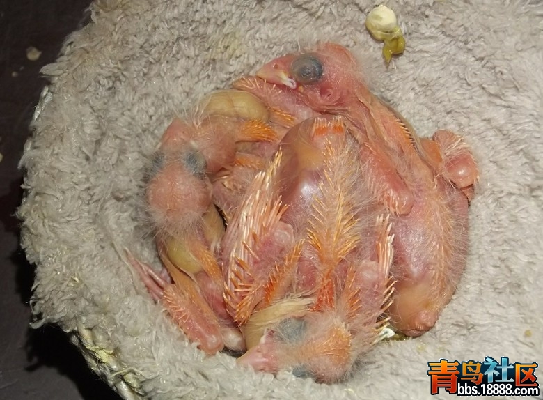 QQ图片20131120213813.jpg