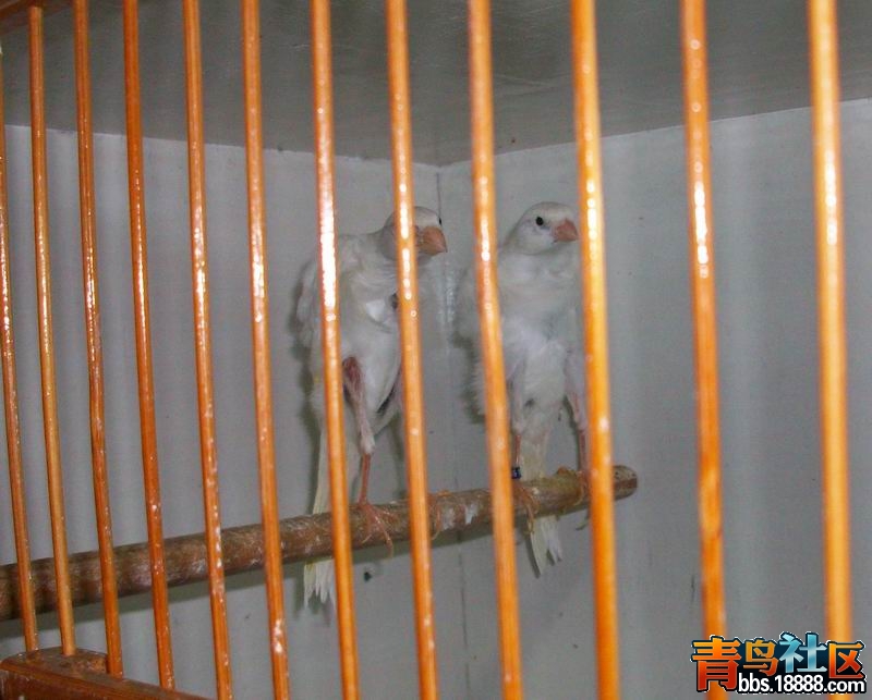 100_8373.jpg