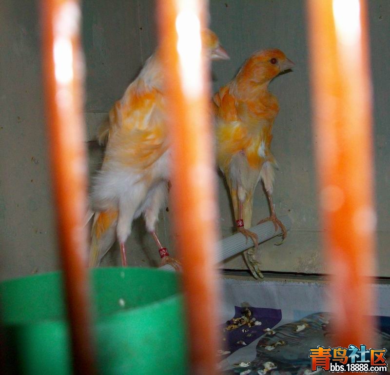 100_8352.jpg