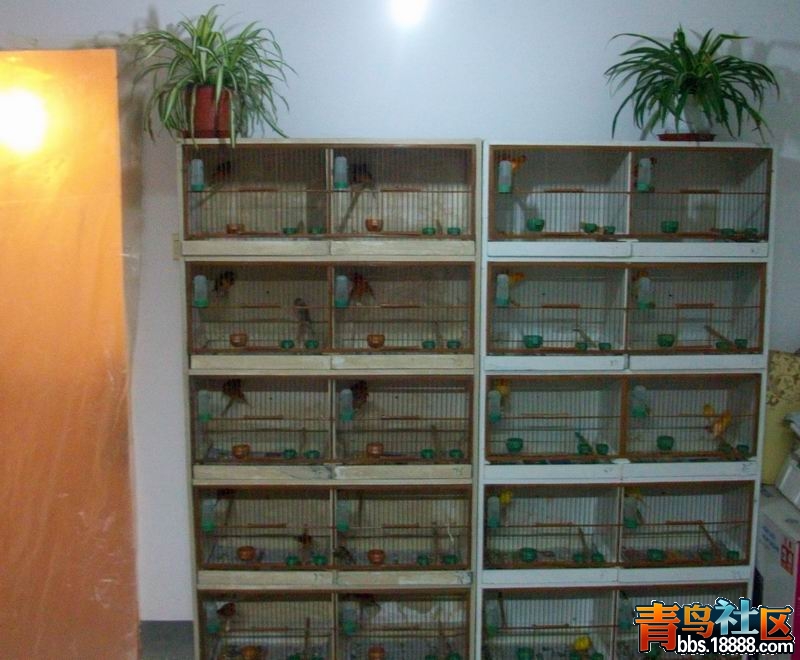 100_8308.jpg