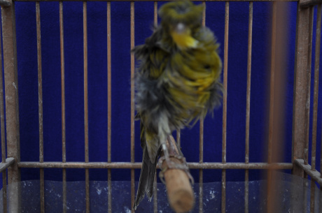 DSC_0256.jpg
