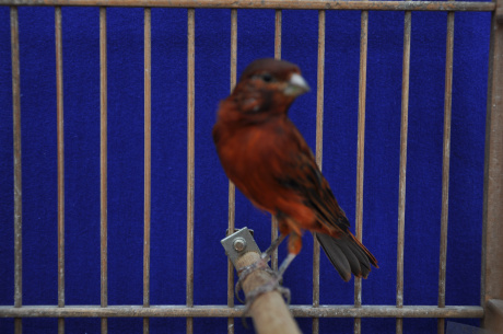 DSC_0010.jpg