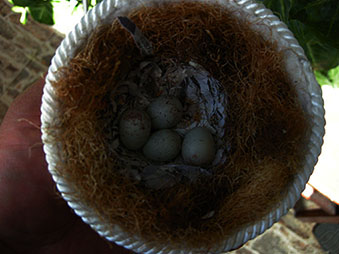 DSCN0141.JPG