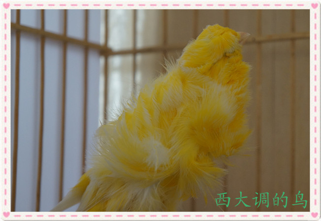 DSC02322_副本.jpg