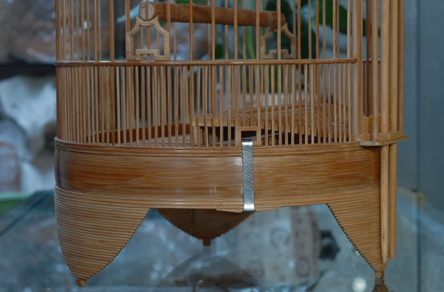 DSC_0015.JPG