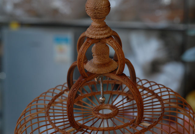 DSC_0007.JPG