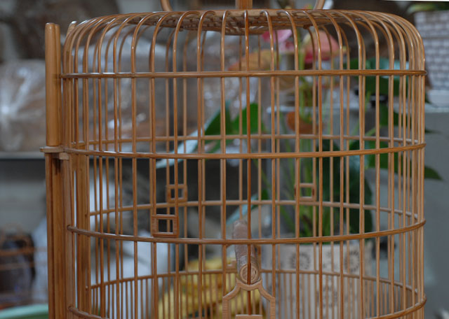 DSC_0009.JPG