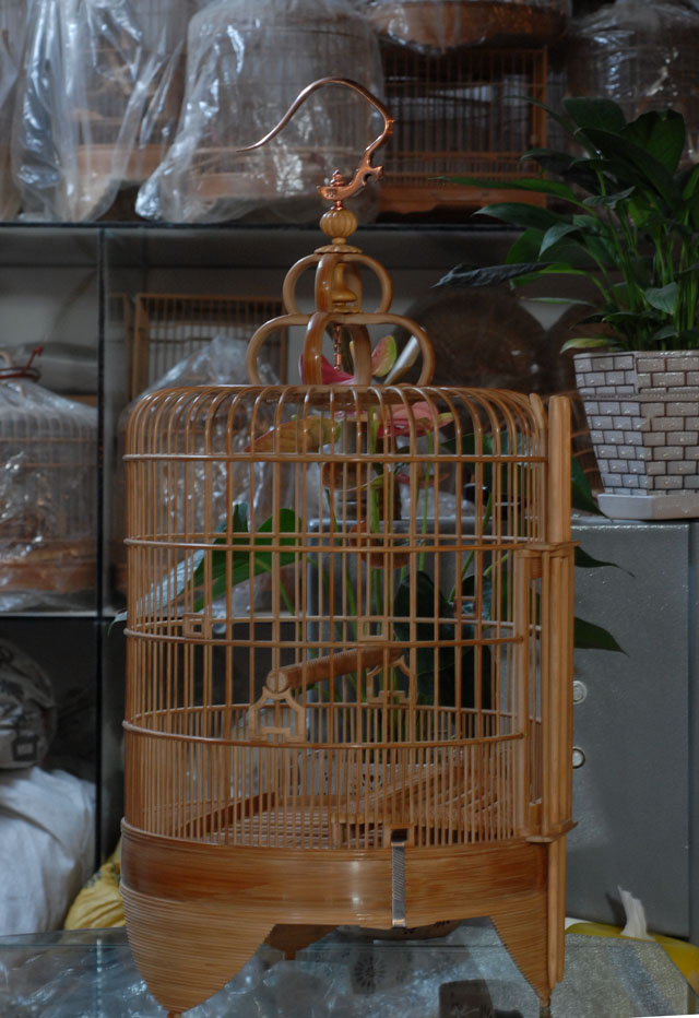 DSC_0004.JPG