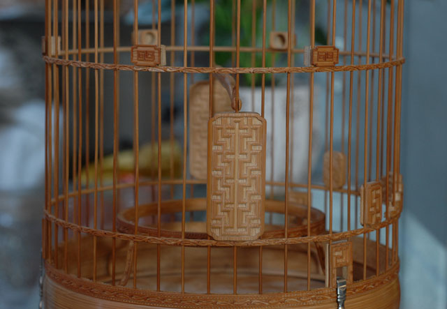 DSC_0011.JPG
