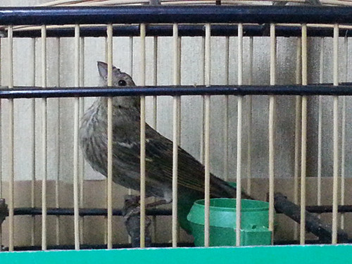 20131101_165319_副本.jpg