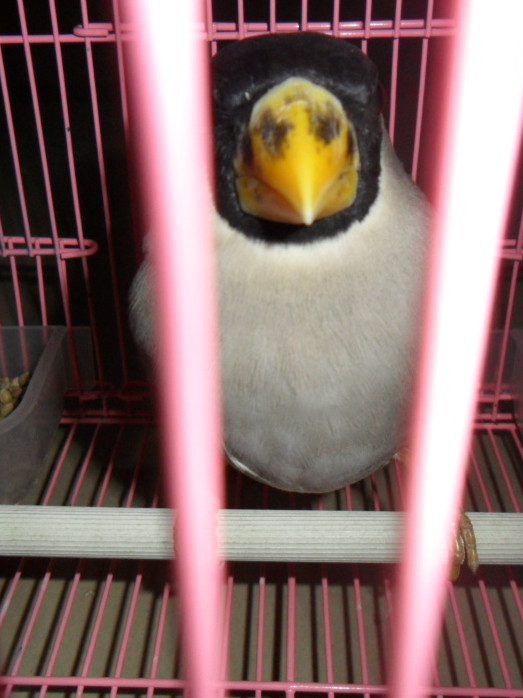 SAM_3820_副本.jpg