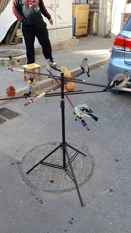 20131125_140610_副本.jpg