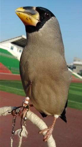 QQ图片20131114133348.jpg
