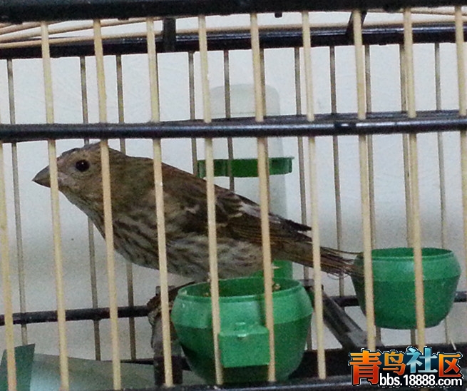20131120_204039_副本.jpg