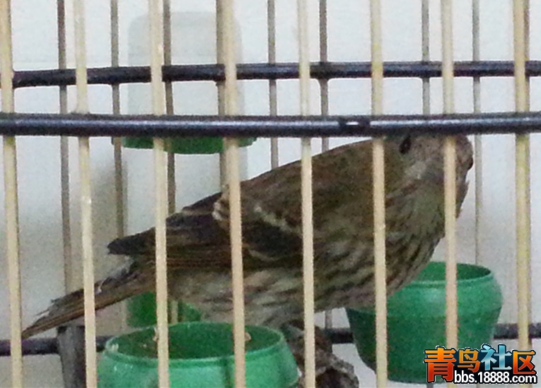 20131120_204150_副本.jpg