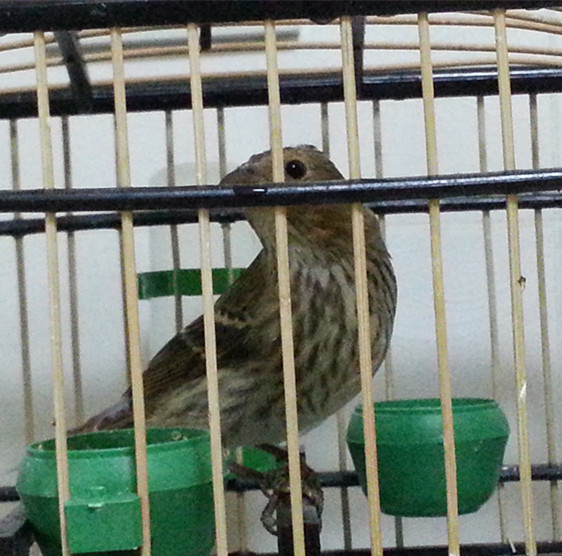 20131120_204005_副本.jpg