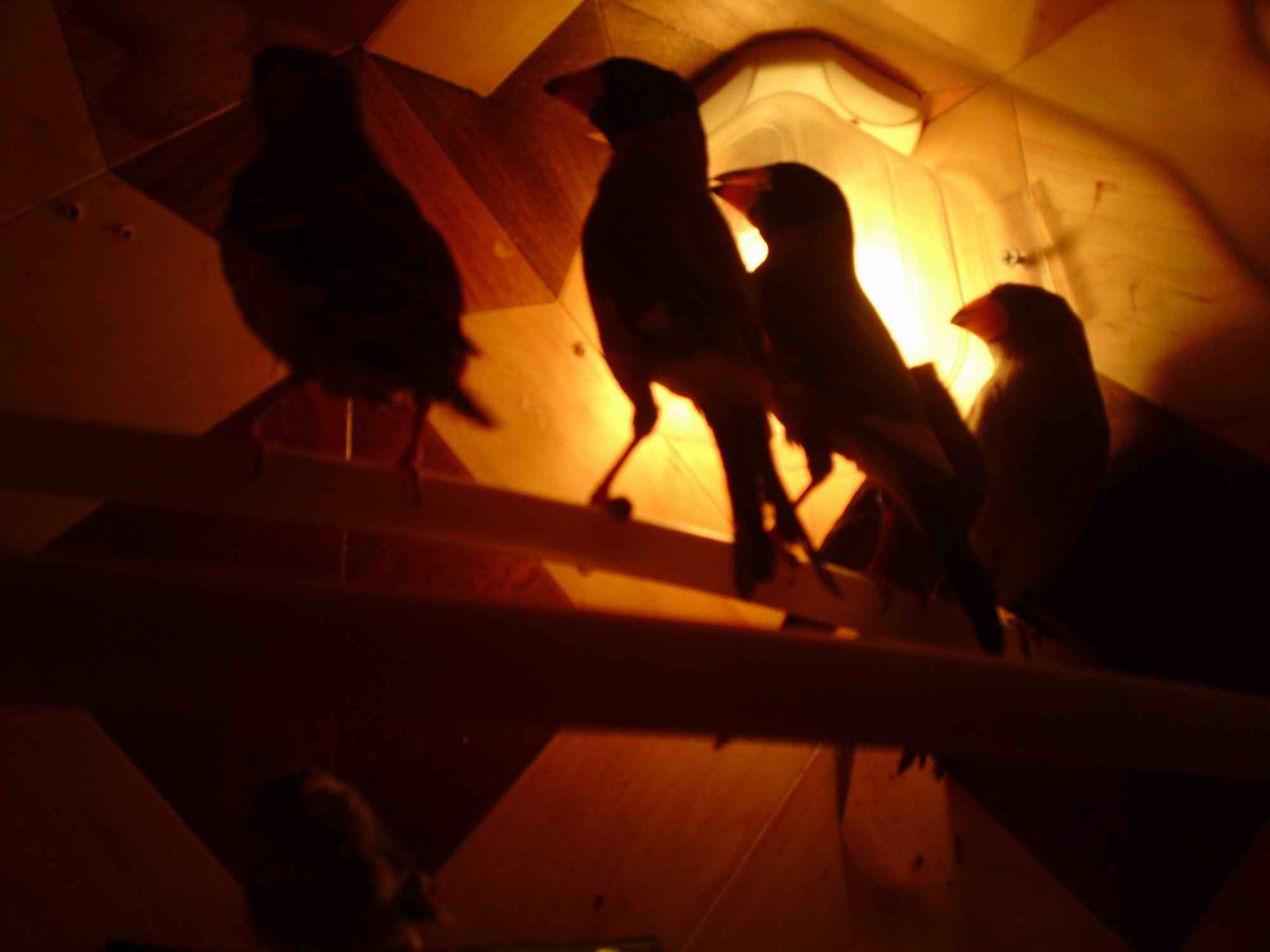 20130921455.JPG