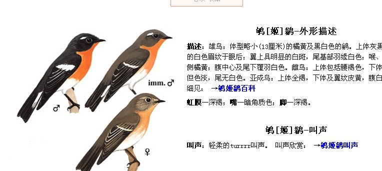QQ图片20131119224800.jpg