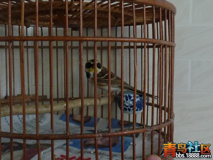 P1030701_调整大小.jpg