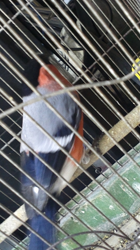 2013-11-09-1098.jpg